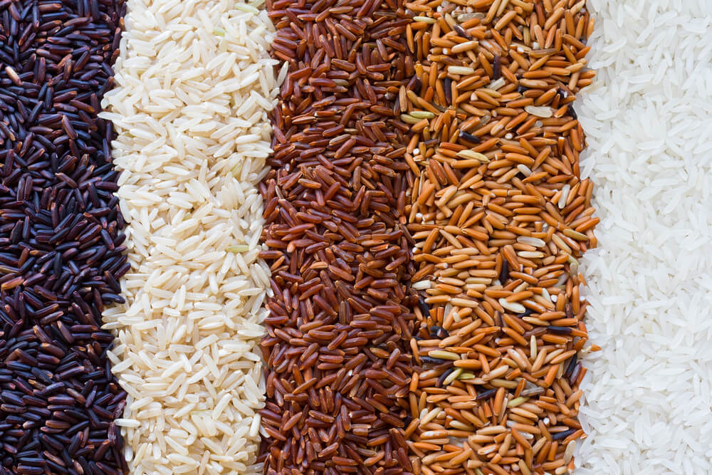 Conheça os diferentes tipos de arroz • Ana Maria Braga