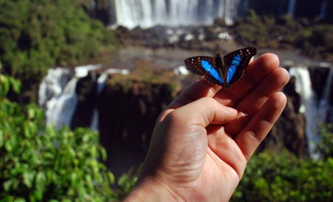 Viagem imperdível: 10 motivos para conhecer as Cataratas do Iguaçu