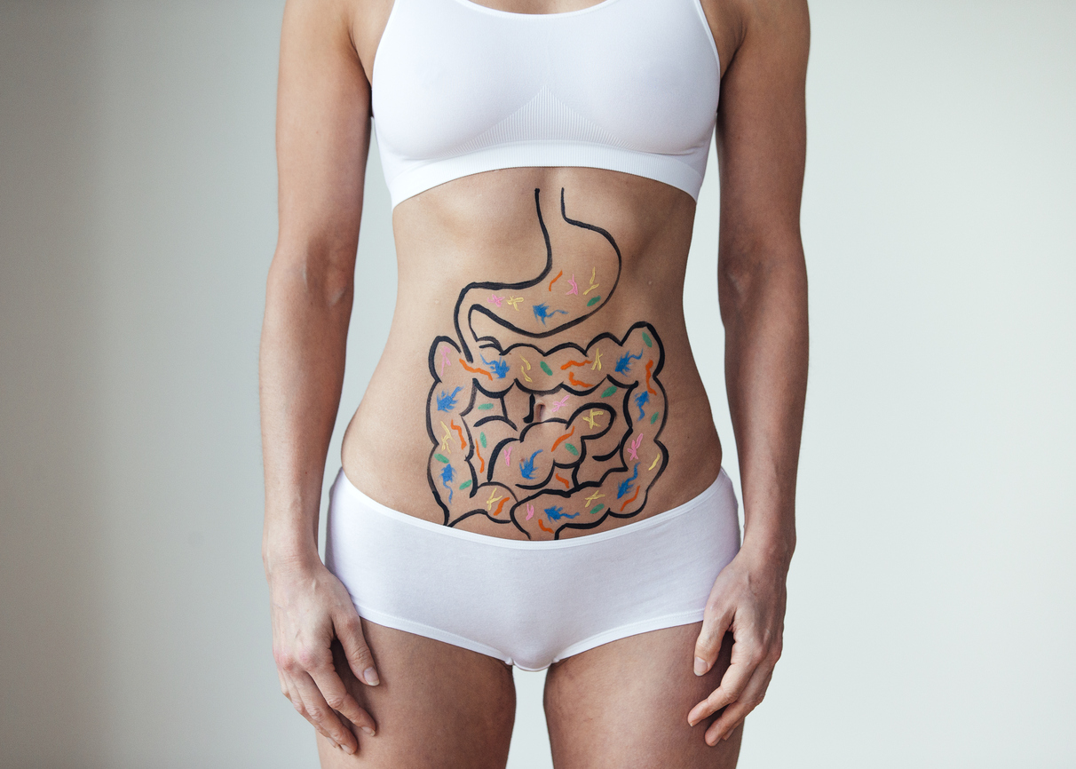 probioticos ajudam na perda da gordura da barriga